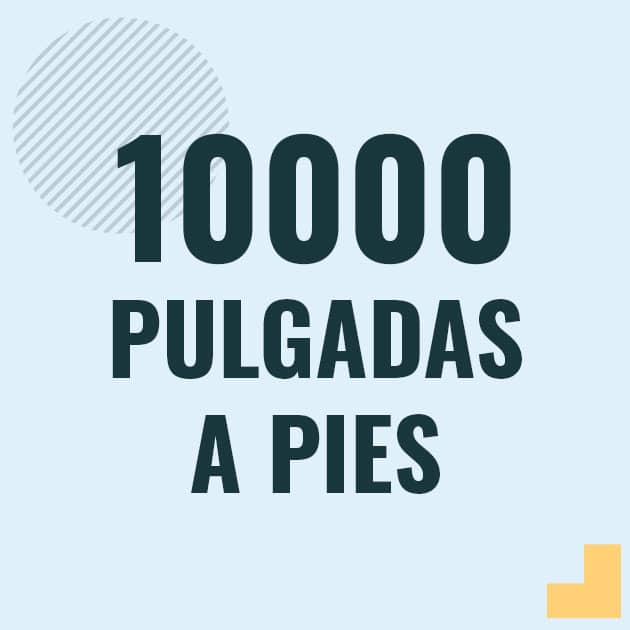 Conversión de 10000 pulgadas a pies Profesor en pizarra explicando cuanto es 10000 pulgadas en pies o como pasar de 10000 in a ft